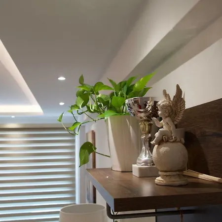 Green Olivia - Brand New, Apartment *